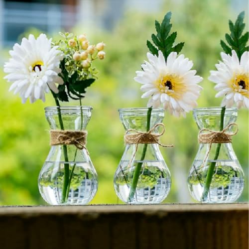 Foldtier FOLDTIER-KITS-DSZFM59746 Glass Bulb Vases For Flowers Forcing Hyacinth Clear Vase Decorative Bulb Vase With Round Bamboo Coaster thumb #5