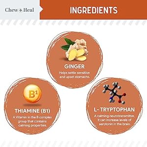 Calming Chews for Dogs - 30 Anxiety Relief Treats for Fireworks, Thunder, and Storms - Natural Dog Calming Treats for Large and Small Breeds with Thiamine, L-Tryptophan, Ginger, and Melatonin Calming Chews for Dogs 30 Anxiety Relief Treats for Fireworks Thunder and Storms Natural Dog Calming Treats for Large and Small Breeds with Thiamine L Tryptophan Ginger and Melatonin