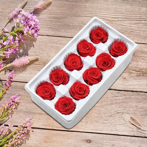 10 cabezas de flores de rosa secas eternas miniatura 6
