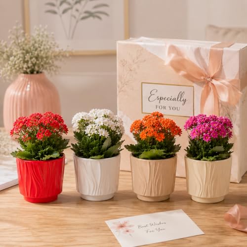 Image of Xtore Charming Textured Ceramic Planter Pots Set of 4 for Indoor Plants | Modern Ribbed Flower Pots for Home, Office Desk, Balcony & Shelf Decor (Multicolor, Planters Only)