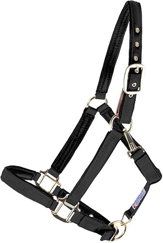 Cabestro de caballo totalmente acolchado de lujo  Superposición de tela de nailon de doble capa de 1 pulgada  Hardware resistente  Ajuste semi