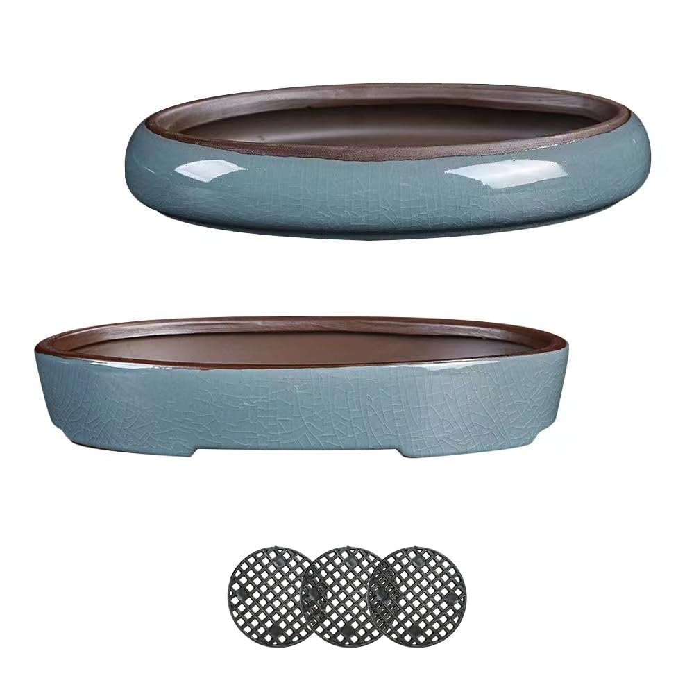 (10 Inch Shallow Bonsai Pots 2 Piece Set Water Glaze Blue Succulent Platter Bonsai Tree Ceramic Flower Pot Handmade (Excluding Plants)