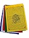 Handmade Nepalese Green Tara Tibetan Prayer Flags – Set of 10 (6×8