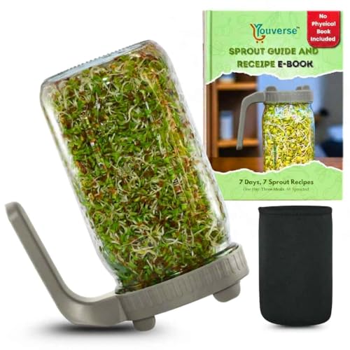 Image of Sprouts Maker Glass Jar - 950ml Large Sprouts Maker Jar for Home Use | BPA-Free Sprouting Jar with Drain Lid Handle | Airflow, Odor-Free, Easy Drainage, and Hygienic Glass Design (Grey)