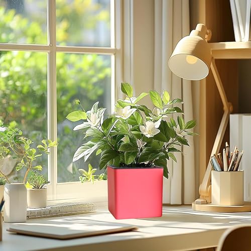 Image of Indian Discovery Self Watering Wall Hanging Planter|Hanging /Hooked Flower Pots for Home, Balcony, Vertical Garden Decor Flower Pots(2 PC, Baby Pink, Square) |6 Inch UV-Resistant Plastic Plant Pots