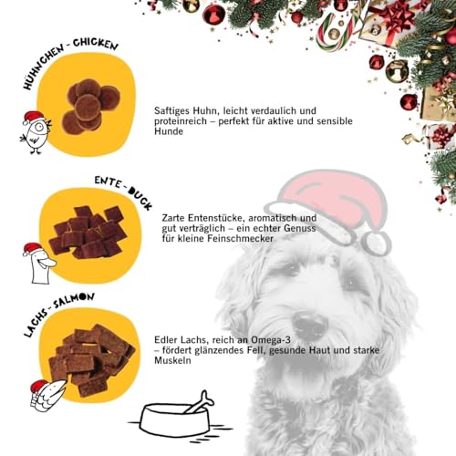 Dogs'n Tiger - Guido Maria Kretschmer Hunde Adventskalender 2025, Adventskalender für Hunde – Natürliche & hochwertige Snacks aus 85% Fleisch hinter jedem Türchen, ohne Zucker & Getreide
