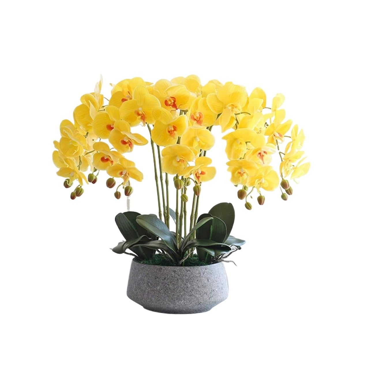 IUokLU Artificial Orchid Flowers,Artificial Orchid Artificial Flowers Artificial Phalaenopsis Orchids - Tabletop Centerpieces Faux Orchids Bonsai Decoration Realistic Touch Phalaenopsis Flowers