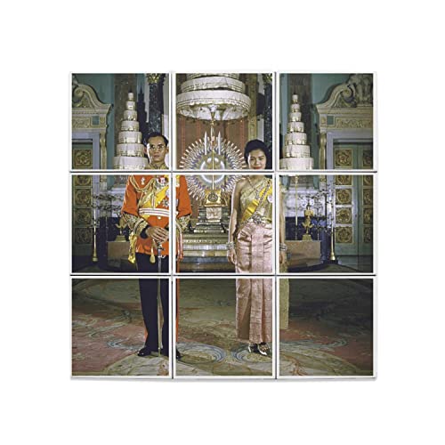 Carreaux Céramique Rama IX Solution Murale Originale Grand Format 60x60cm