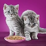 Zoom IMG-1 whiskas pure delight tenere delicatezze