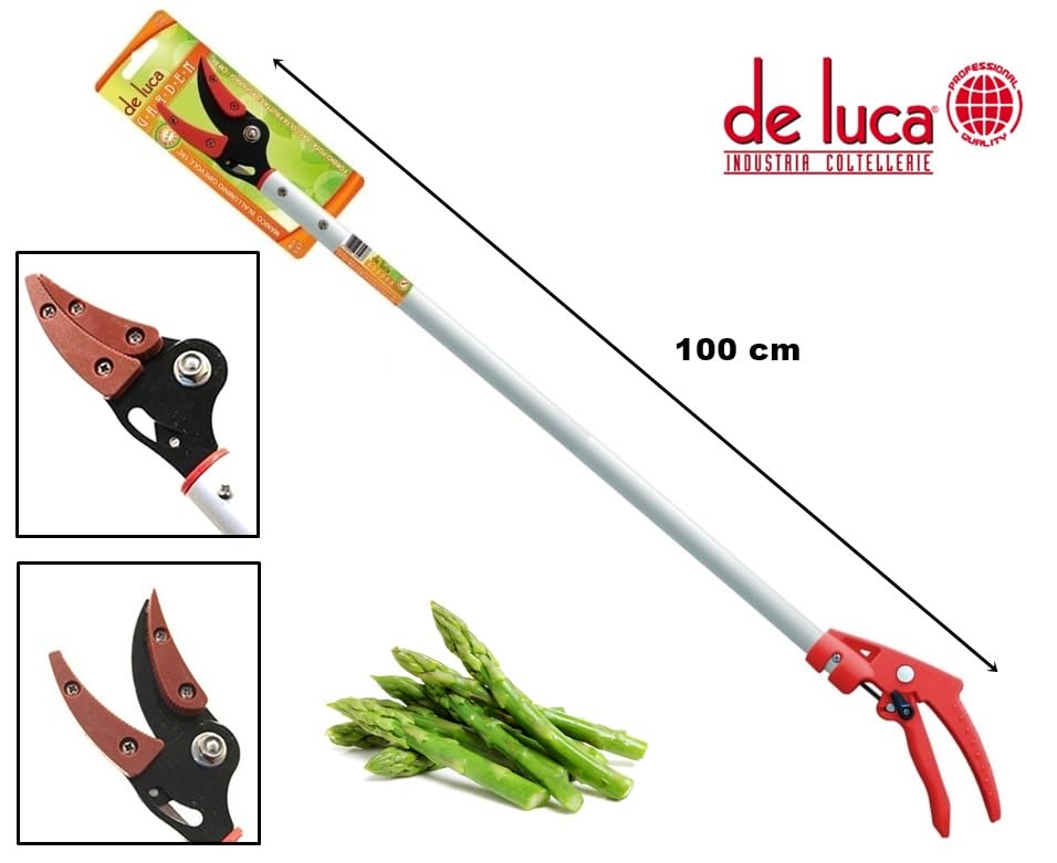 FORBICE DA POTATURA DOPPIO TAGLIO SOLO PER PIANTE DA FRUTTO RAMI, forbici potatu FORBICE DA POTATURA DOPPIO TAGLIO SOLO PER PIANTE DA FRUTTO RAMI, forbici potatu