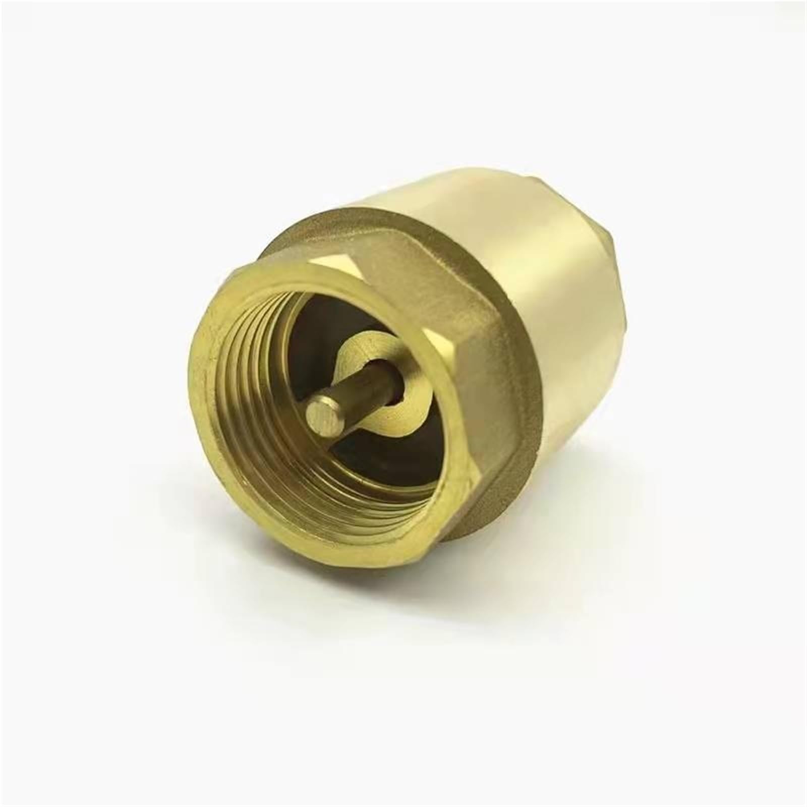 Valvola di ritegno a molla in linea in ottone, valvola di non ritorno verticale unidirezionale, filettatura femmina verticale, for la prevenzione del riflusso acqua(DN65)