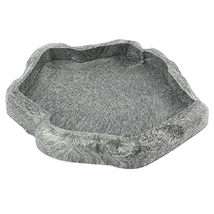 HEEPDD Reptielen Kom, Resin Rock Reptielen Vissen voor voedsel en water, Aquarium Huisdieren Ornament, Schildpad Terrarium Plate[Donkergroen S] Voedsel