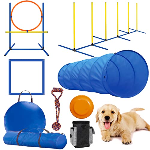 Dog Agility Equipment Best Wooden Seesaw for Dogs
