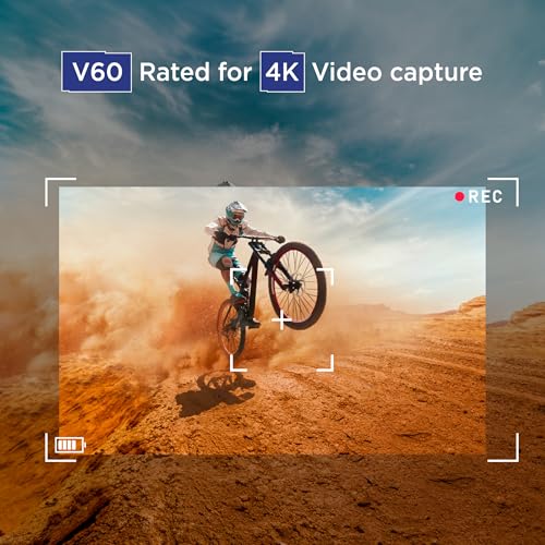 Integral 128GB UHS-II V60