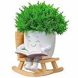 Maceta con Forma de Mecedora para Suculentas, Macetas con Carita Sonriente y Orificio de Drenaje, Macetas Únicas para Plantas Pequeñas, Un Gran Regalo para Los Amantes de Las Plantas(Style a)