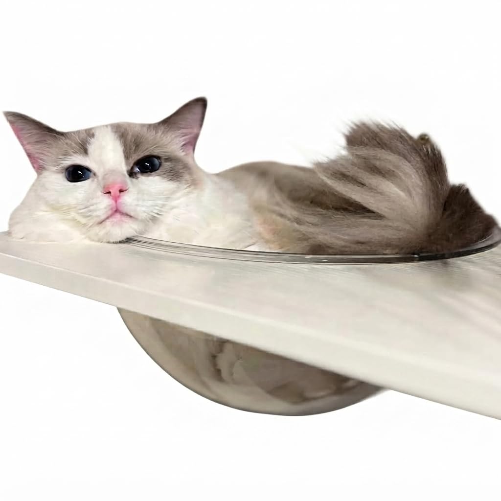 Amazon.co.jp: 【公式】 ieneko ねこの惑星 透明ボウル 猫 ケージ