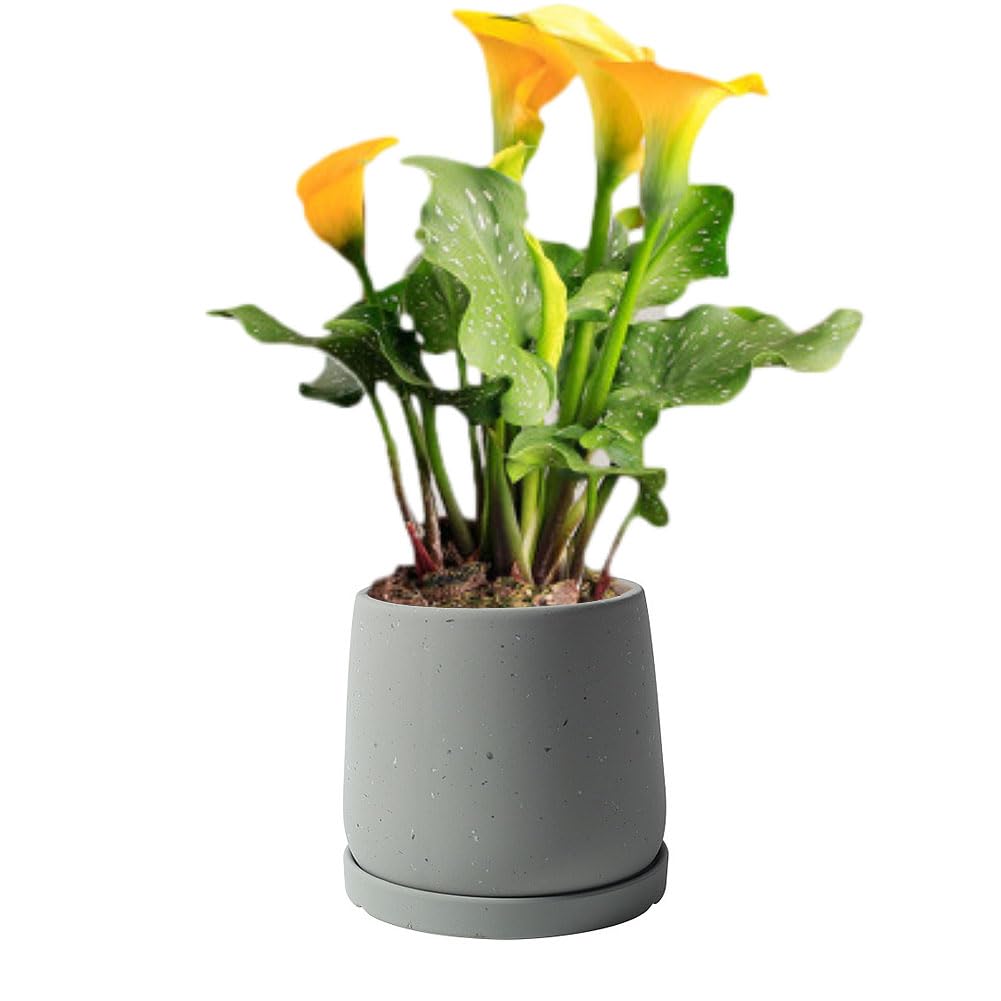 CANDeal Ceramic Indoor Outdoor Flower Planter, Succulent Plant Pots with Drain Hole & Saucer, Nice Decor for Home Office Window Tabletop (Grey,7.6 inch)