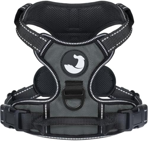 Joytale Anti-Zug Hundegeschirr für mittelgroße Hunde, Grau, M | Perfekter Sitz, gepolstert & reflektierend, 2 Anleinpunkte (vorne & hinten), Haltegriff für Treppen & Auto, für Trai