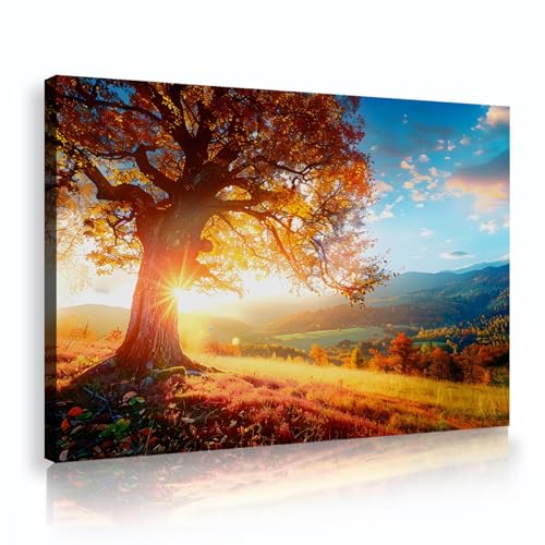 Peinture galerie d'images enveloppé érable nature paysage 60x90cm pour revitaliser un mur blanc vide