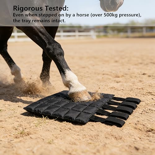 Reusable Gel Horse Ice Boots 2 Pack, Adjustable 5 Leg Cooling Wraps | Easy Cooling Relief on Hocks Knees & Ankles, Durability & Cooling in Active Horses - Image 7