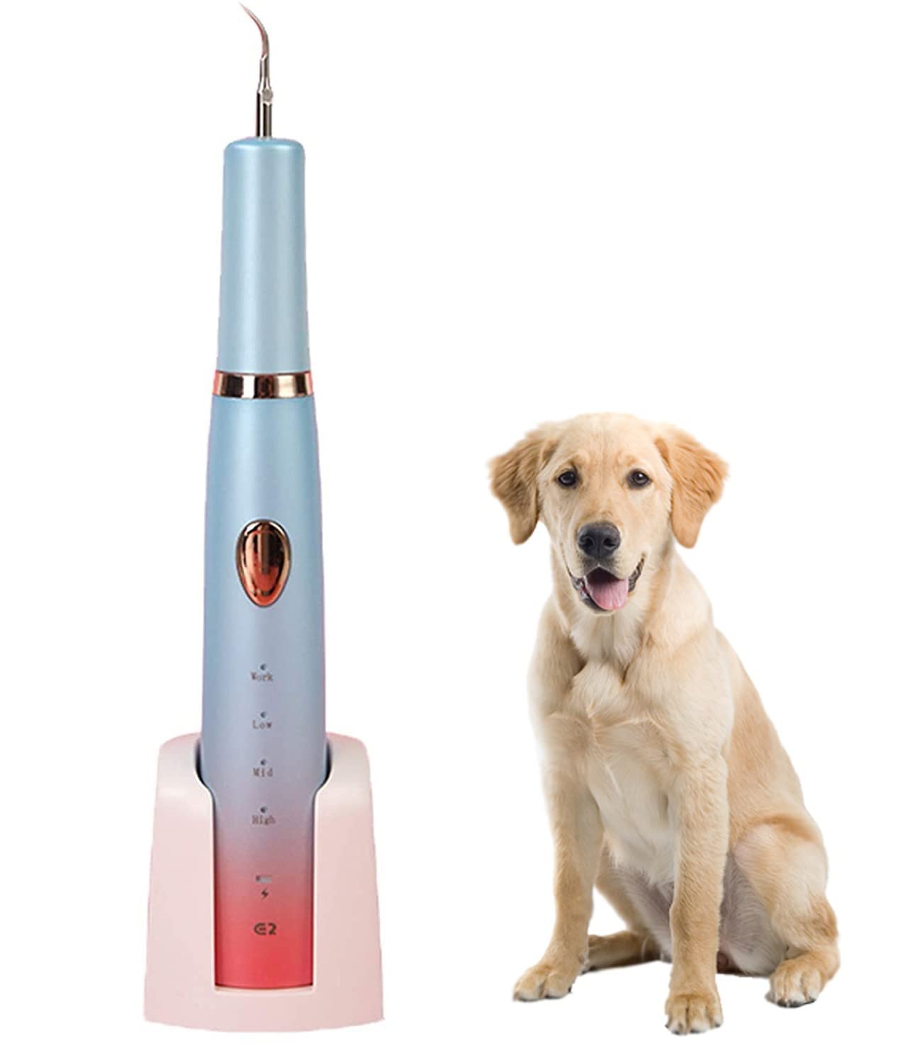 Cepillo De Dientes EléCtrico para Mascotas, Gato, Perro, Herramienta para Blanquear Los Dientes De Las Razas PequeñAs, Cuidado Dental para Un Aliento Fresco para La ClíNica En Casa