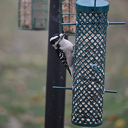 C&S Woodpecker Suet Nuggets Single Packs, 27 Oz, None #TOP6