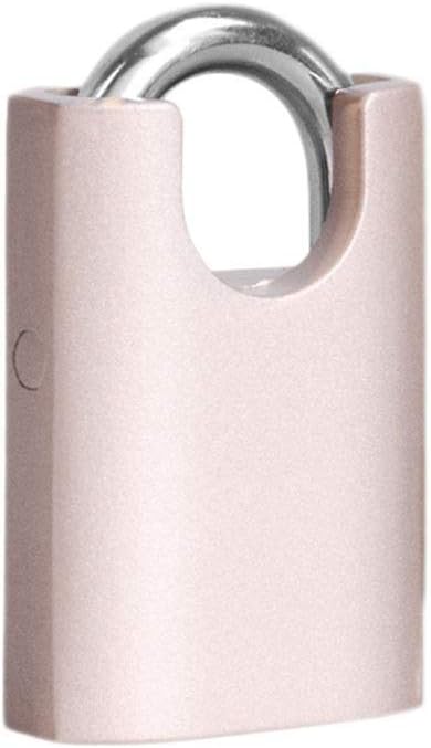 JSEIAJB Padlock - Sports, School & Employee Locker, Outdoor, Fence, Hasp and Storage All Weather Metal & Steel -Silver