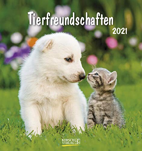 Tierfreundschaften 2021 aufstellbarer Postkartenkalender Korsch