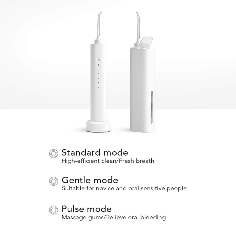 Mini Limpiador de Dientes eléctrico Recargable de irrigador bucal Dental inalámbrico con 4 boquillas, Nivel de 3 Engranajes, para la Oficina de Viajes domésticos