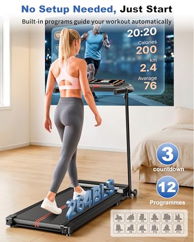 Standing treadmill desk