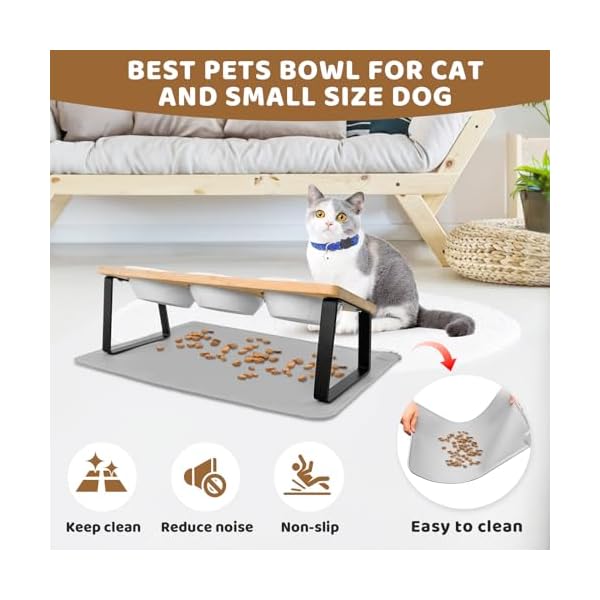 Otauoaea Katzennapf Erhöht - 3X Futternapf Katze aus Keramik mit Napfunterlage Silikon - 15° gekippte Futterstation Katzen Napfset Hundenapf - Fressnapf und Wassernapf für Katzen und Kleine Hunde – Bild 4