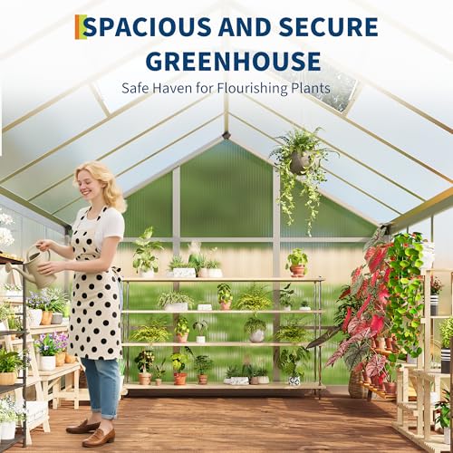 8x10 FT Greenhouse for Outdoors, Polycarbonate Greenhouse with Roof Vent, Ground Nails, Lockable Push Door, Aluminum Large Walk-in Green House for Outside Garden Backyard, Patio, Lawn, Silver