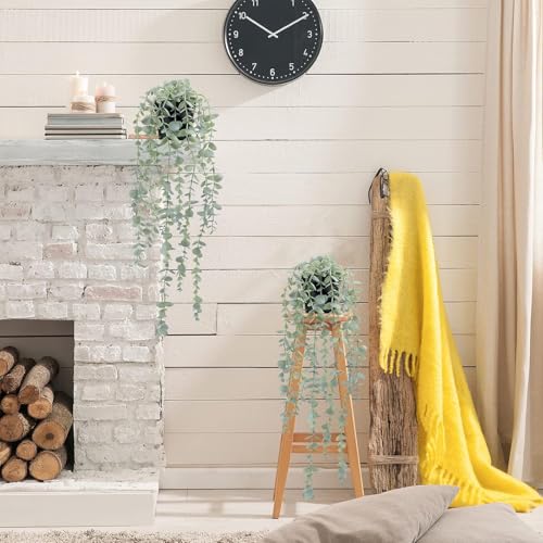 CSGHMM 2 Pcs Artificial Eucalyptus Hanging Plant - Fake Trailing Ivy Decor for Kitchen, Bathroom,Office - Faux Greenery Hanging Baskets for Indoor Wall Shelf Decor,Front Garden Aesthetic - Cosy Home Interiors CSGHMM 2 Pcs Artificial Eucalyptus Hanging Plant - Fake Trailing Ivy Decor for Kitchen, Bathroom,Office - Faux Greenery Hanging Baskets for Indoor Wall Shelf Decor,Front Garden Aesthetic - Image 7