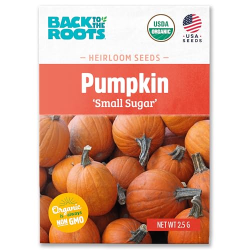 Back to The Roots 100% Organic Seed Packet - Pumpkin Small Sugar 2.5g