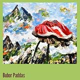 padda di timor prezzo  Bubor Paddas