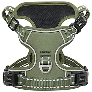 HEELE Dog Harness, No Pull Dog Harness Medium, Release on Neck, Front Back Clips Dog Vest Harness Reflective Adjustable Padded, Easy Control Handle for Outdoor Walking Training, Green, M