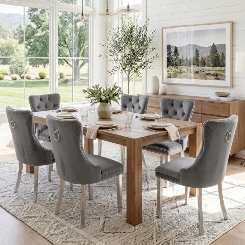 SoarTalent Lot de 6 chaises de Salle à Manger rembourrées en Velours de Style Moderne avec Bordure cloutée et Pied plaqué Argent, Anneau de Traction en...