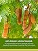 Large Sweet Tamarind Pods, Whole Fruit 100% Natural, Dried Fresh Tamarindo 16 Oz