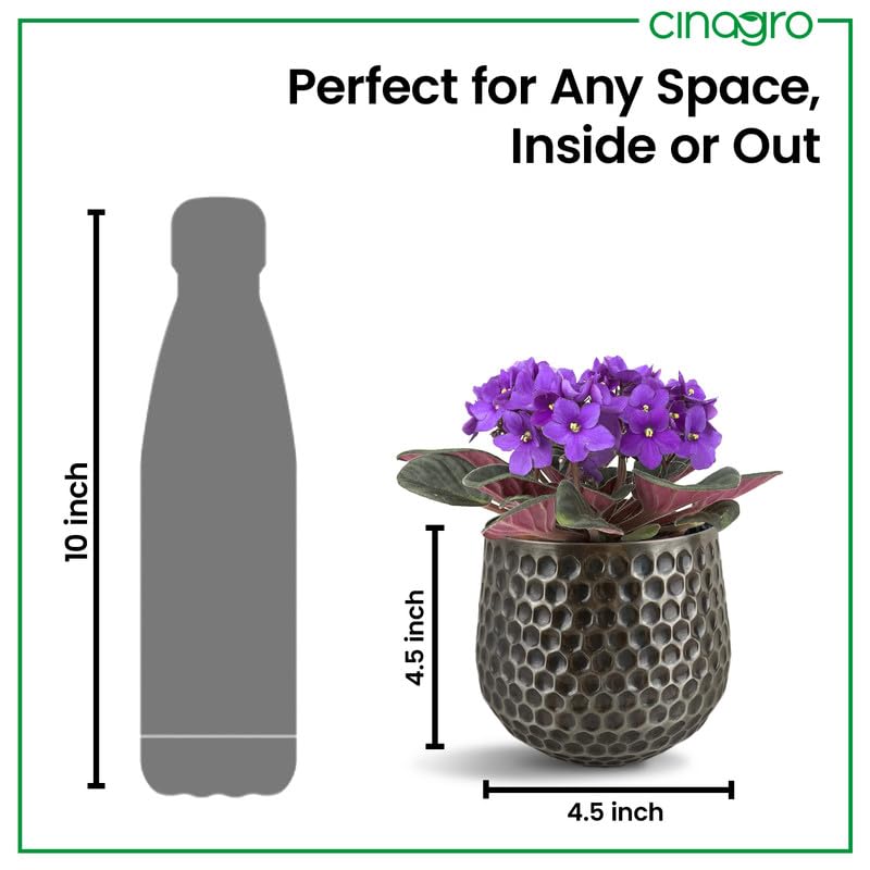 Image of CINAGRO Metal Planter Pot for Indoor Plants, Round Decorative Flower Pot, Rust-Resistant, Modern Plant Holder for Home, Balcony, Office (11.43 x 11.43 cm, Metal Nector)
