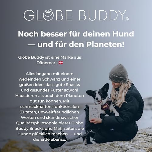 Globe Buddy Luxx Rewards 150g – Hypoallergene Getreidefreie Hundesnacks mit Insektenprotein, Unterstützt Mobilität & Immunsystem, Super Premium Trainingsleckerlis für Alle Hunde