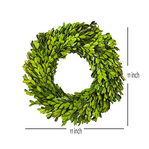 Boxwoodvalley Preserved Boxwood Wreath 11 Inch Green Garland For Indoor Thanksgiving Halloween Christmas Wreath Decor Stay Fresh For Years(11 Inch) #TOP4
