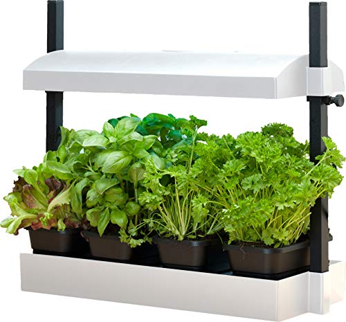 SunBlaster T5HO Indoor Micro Growlight Garden, Home Growing Kit, White