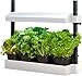 SunBlaster T5HO Indoor Micro Growlight Garden, Home Growing Kit, White