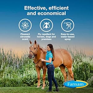 Farnam Broncoe Water-based Fly Spray with Citronella Scent for Horses, Dogs, and Premises 32 Ounces