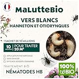 Nématodes HB contre les Vers Blancs (10M) pour 20 m² – Produit naturel et 100% efficace pour éliminer les vers blancs et les hannetons et otiorhynques du jardin, pelouses et plantes