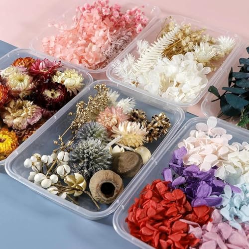 Box de flores secas para velas aromáticas y manualidades miniatura 6