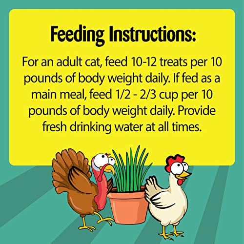 TEMPTATIONS ShakeUps Crunchy and Soft Cat Treats, Clucky Carnival Flavor, 5.29 oz. Pouch - Image 6