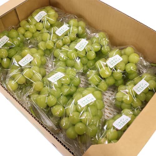 [先行予約] [ご家庭用]令和8年産 訳ありシャインマスカット たっぷり5kg (8〜12房)山形県産 2026年産 [2026年9月上旬頃〜10月中旬頃発送予定]※配送不可 沖縄・離島