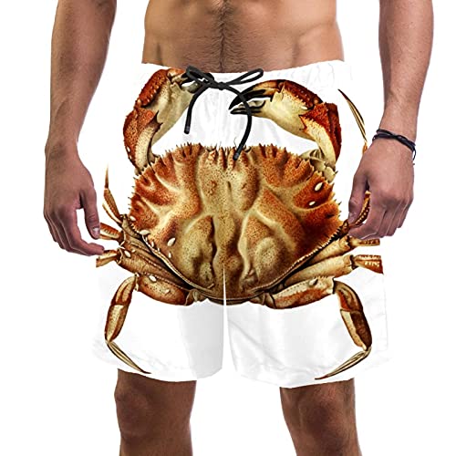 Short de bain pour homme multicolore XL avec taille élastique et 2 poches motif Dungeness