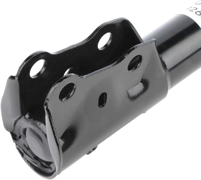 Front Struts Assembly Complete Shock Absorber with Coil Spring for Scion xA 2004-2006 for Scion xB 2004-2006, 172245